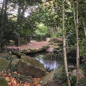 Malayan tapir enclosure