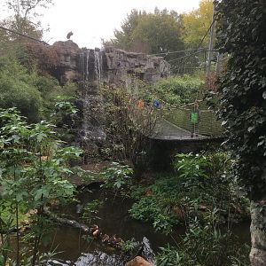 Asian waterfall aviary