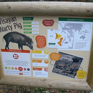 Signage for Visayan Warty Pigs - 1 November 2018