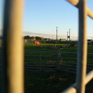 Former inhabitants of "World Farm"  - 1 November 2018