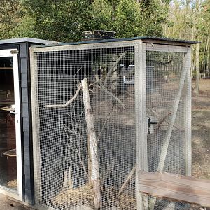 Enclosure Chinchilla