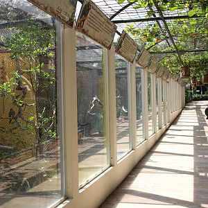 Parrot Aviaries