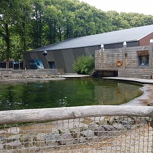 Sea-lion outdoor-enclosure