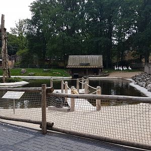 Pelican-enclosure - and Gibbon islands