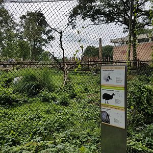 Crane - Guineafowl enclosure and signs