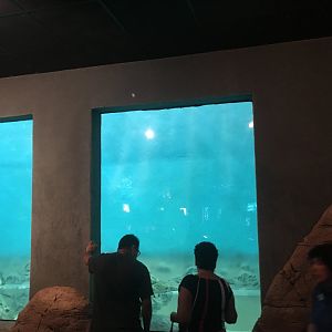 Bottom half of seal exhibit