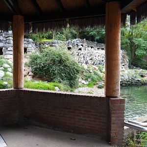 Penguin exhibit and viewing shelter (Sep 16th, 2018)