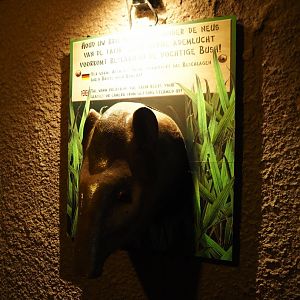 Tapir-head shaped hot air blower  (Sep 16th, 2018)