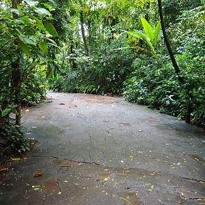 View upon entering Burger's Bush (Sep 16th, 2018)