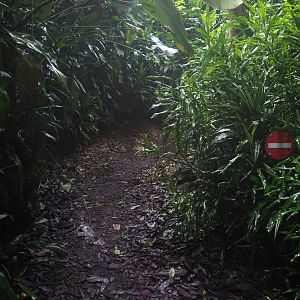 Forbidden pathway (Sep 16th, 2018)