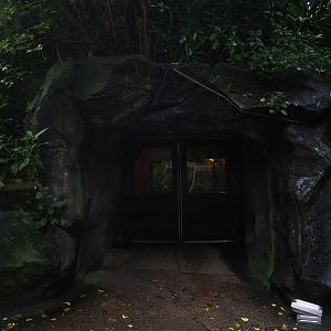 Entrance to tunnel to the Desert (Sep 16th, 2018)