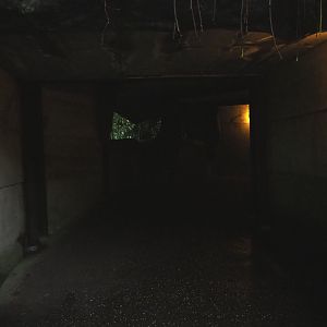 Passageway behind the big waterfall (Sep 16th, 2018)