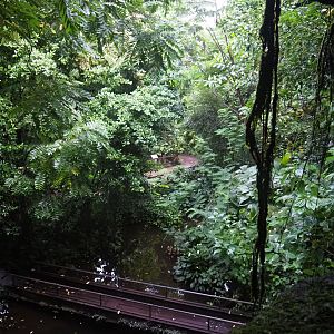 View from waterfall passage minus big waterfall (Sep 16th, 2018)