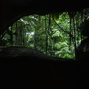 Viewing window behind big waterfall minus(Sep 16th, 2018)