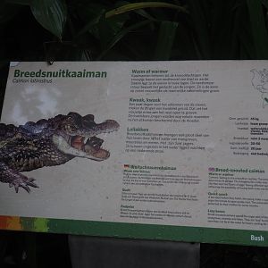 Sign broad-snouted caiman (Sep 16th, 2018)