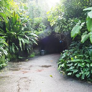 Entrance to Burgers' Ocean (Sep 16th, 2018)