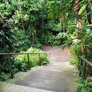 View down stairs in Bush (Sep 16th, 2018)