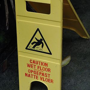 Caution, slippery when wet sign (Sep 16th, 2018)
