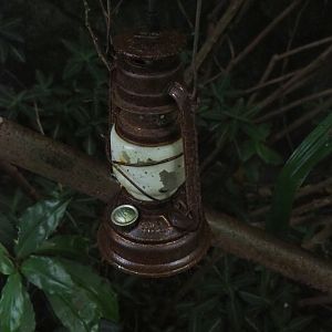 Lantern (Sep 16th, 2018)