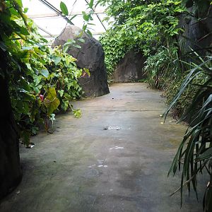 View of upper area in the Bush (Sep 16th, 2018)