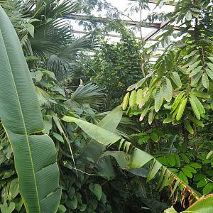 View of foliage from upper area (Sep 16th, 2018)