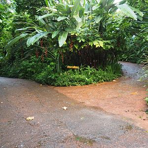 Pathways in Burgers' Bush (Sep 16th, 2018)