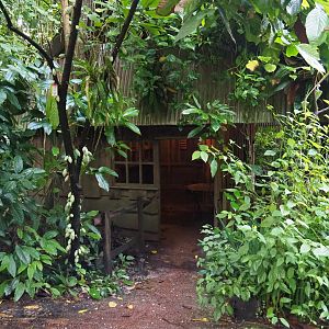 Bush Cabin (Sep 16th, 2018)