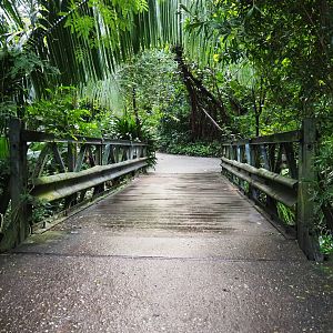 Bailey bridge (Sep 16th, 2018)
