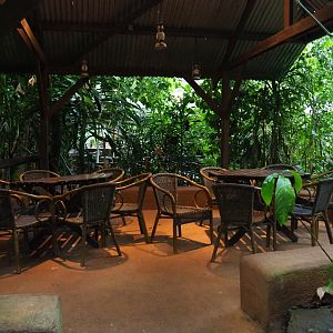 Covered terrace area (Sep 16th, 2018)