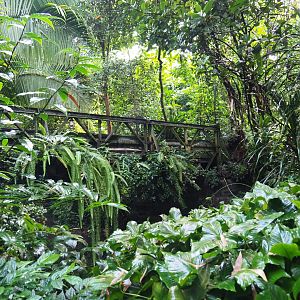 Bailey bridge and foliage (Sep 16th, 2018)