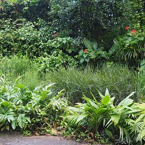 Rice field area (Sep 16th, 2018)