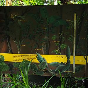 Old sign about plants (Sep 16th, 2018)