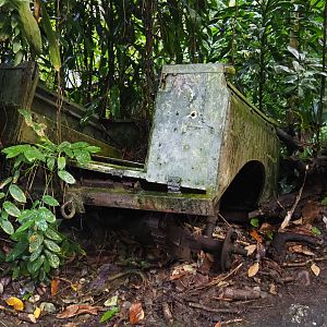 Old jeep rusting away in the Bush (Sep 16th, 2018)
