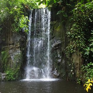 Big waterfall (Sep 16th, 2018)