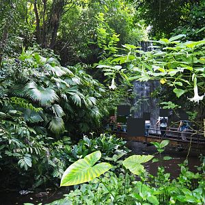 View of pool by big waterfall (Sep 16th, 2018)