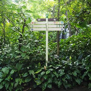 Signpost and foliage in Burgers' Bush (Sep 16th, 2018)