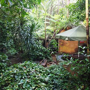 Pond, foliage, terrace area and shack (Sep 16th, 2018)