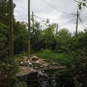 African wading-bird aviary