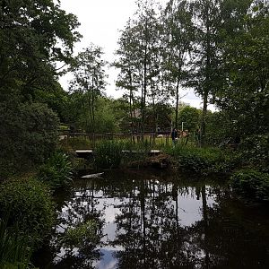 Small stream in the park