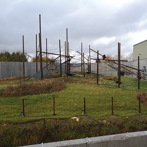 Outdoor Chimp Eden - Twycross