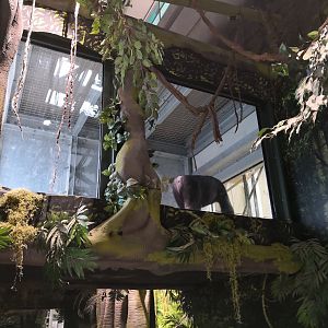 Overhead tunnel to outdoor exhibit - Twycross