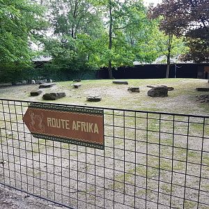 Slender-horned gazelle enclosure