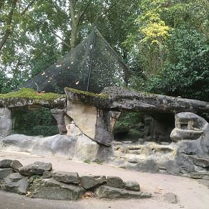 Pallas cat enclosure