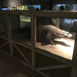 A former resident....