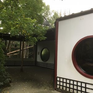 Francois langur enclosure
