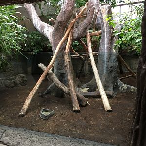 Cuban hutia enclosure