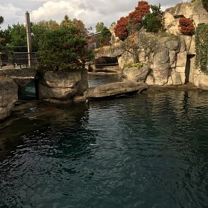 Californian Sean lion enclosure
