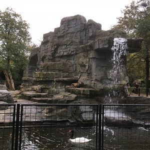 Alpine ibex enclosure