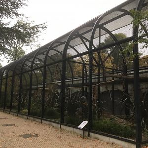 Aviaries