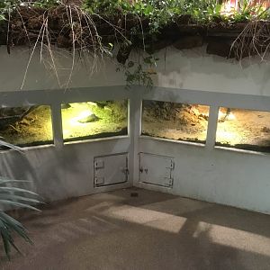 Where the manatee once swam